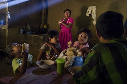 Dora prepara comida para sus hijos y su marido, Israel. El menú es el mismo de cada día: tortillas de maíz con unos pocos frijoles. <br><br>Volví a Guatemala en noviembre de 2020, poco después del paso de Eta e Iota, dos huracanes hiperdestructores, dos, que pasaron sobre el mismo lugar con una semana de diferencia arrasándolo todo y anegando medio país. Con ellos volvieron el hambre, las caravanas y la pobreza extrema, principalmente a Guatemala y Honduras. Actualmente uno de cada dos niños en Guatemala sufre la enfermedad conocida como “cadena perpetua”, algo parecido a la desnutrición crónica que impide el desarrollo físico y neuronal en los menores de cinco años por falta de leche, vitaminas o carne. Hace 14 años, aquel reportaje terminó con menos de 900 calorías diarias en un estómago europeo y una frase: “Tengo hambre, un hambre voraz”. La pobreza crónica que cada poco tiempo recogen los informes oficiales debe de ser algo así. Volver una y otra vez al lugar en el que se muere con la piel amarilla pegada a las sábanas y la tripa llena de lombrices sin que nada cambie. <br>