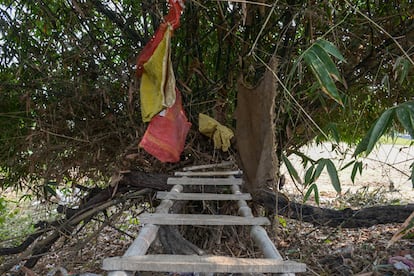 En Bihar, los escorpiones son otra amenaza cuando se defeca al aire libre. Madhuri Devi, estuvo a punto de morir. "Estaba embarazada de cinco meses en ese momento. Mientras defecaba, me picó un escorpión. El dolor era insoportable. Grité y luego me sentí mareada y con náuseas. Recuerdo que me caí al suelo. Mis suegros, que también habían acudido al lugar, me llevaron inmediatamente para que me trataran", recuerda Devi. Incidentes como este se agravan durante la temporada de lluvias, cuando los campos se inundan. Por ello, los aldeanos han creado un 'retrete' en alto mediante una escalera. Unos sacos colgados a los lados intentan darle cierta privacidad.