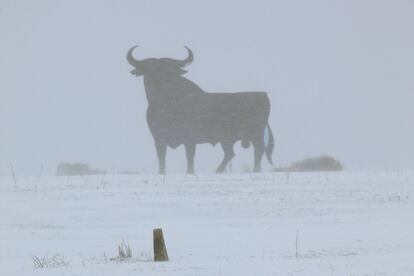 'Invierno'.