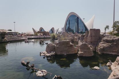 L'Oceanogrfic de Valencia.