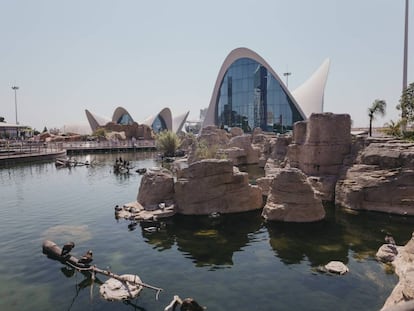 L'Oceanogràfic de Valencia.