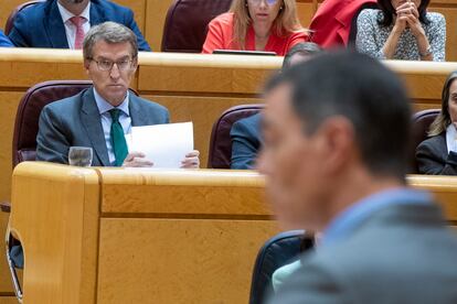 Alberto Núñez Feijóo mira a Pedro Sánchez en el Senado.