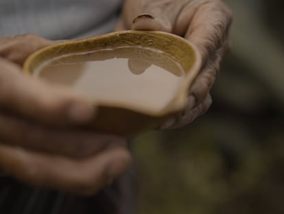 Miske, la bebida indígena ancestral que está reviviendo en la mitad del mundo