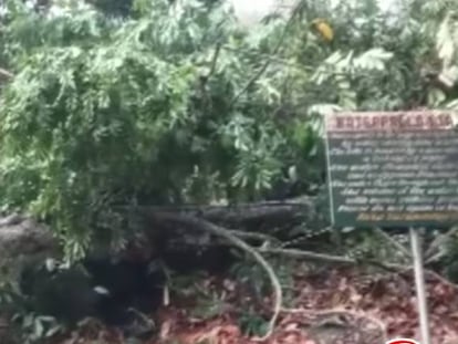 Cataratas Kintampo, en el centro de Ghana, en una imagen difundida por la televisión local.