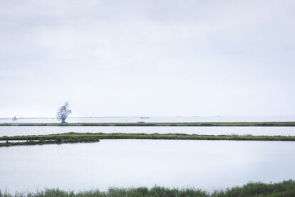 En el transcurso de los trabajos de construcción de los pólders en los que se asienta la provincia de Flevoland, los ingenieros y demás personal técnico decidieron colocar entre tanta maquinaria una serie de obras de arte, lo que se conoce como Land Art. La que se puede ver en esta foto lleva por título 'Hovering on the edge between land and water' (obra de Antony Gormley) y está ubicada muy cerca del dique de Houtrib, en los alrededores de la ciudad de Lelystad. Un espacio reclamado por el hombre sobre la naturaleza y el mar. Flevoland representa una nueva frontera, una tierra ganada al mar. 