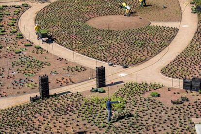 Plantación del jardín durante el pasado mes de mayo.