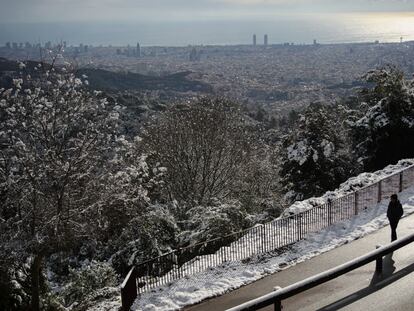 Una persona observaba la vegetación cubierta de nieve en la Sierra de Collserola, este lunes en Barcelona.