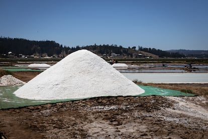 Montículos de sal de mar en las piscinas de las Salinas de Lo Valdivia.