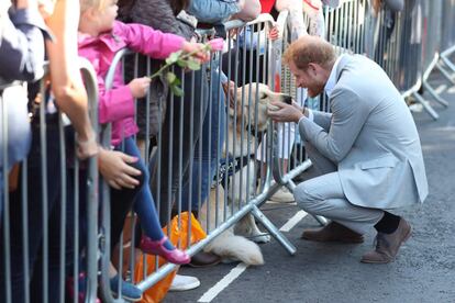 El príncipe Enrique acaricia a un perro a su llegada a Chichester, en el sur de Inglaterra, durante una visita oficial.