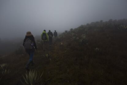 Páramo en el Parque Nacional de Chingaza, en Colombia