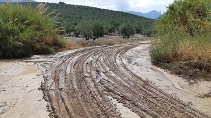 20/09/2019 Camino afectado por las fuertes lluvias en Torres. ANDALUCÍA ESPAÑA EUROPA JAÉN SOCIEDAD POLÍTICA AYUNTAMIENTO DE TORRES