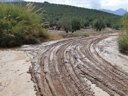 20/09/2019 Camino afectado por las fuertes lluvias en Torres.  ANDALUCÍA ESPAÑA EUROPA JAÉN SOCIEDAD POLÍTICA  AYUNTAMIENTO DE TORRES