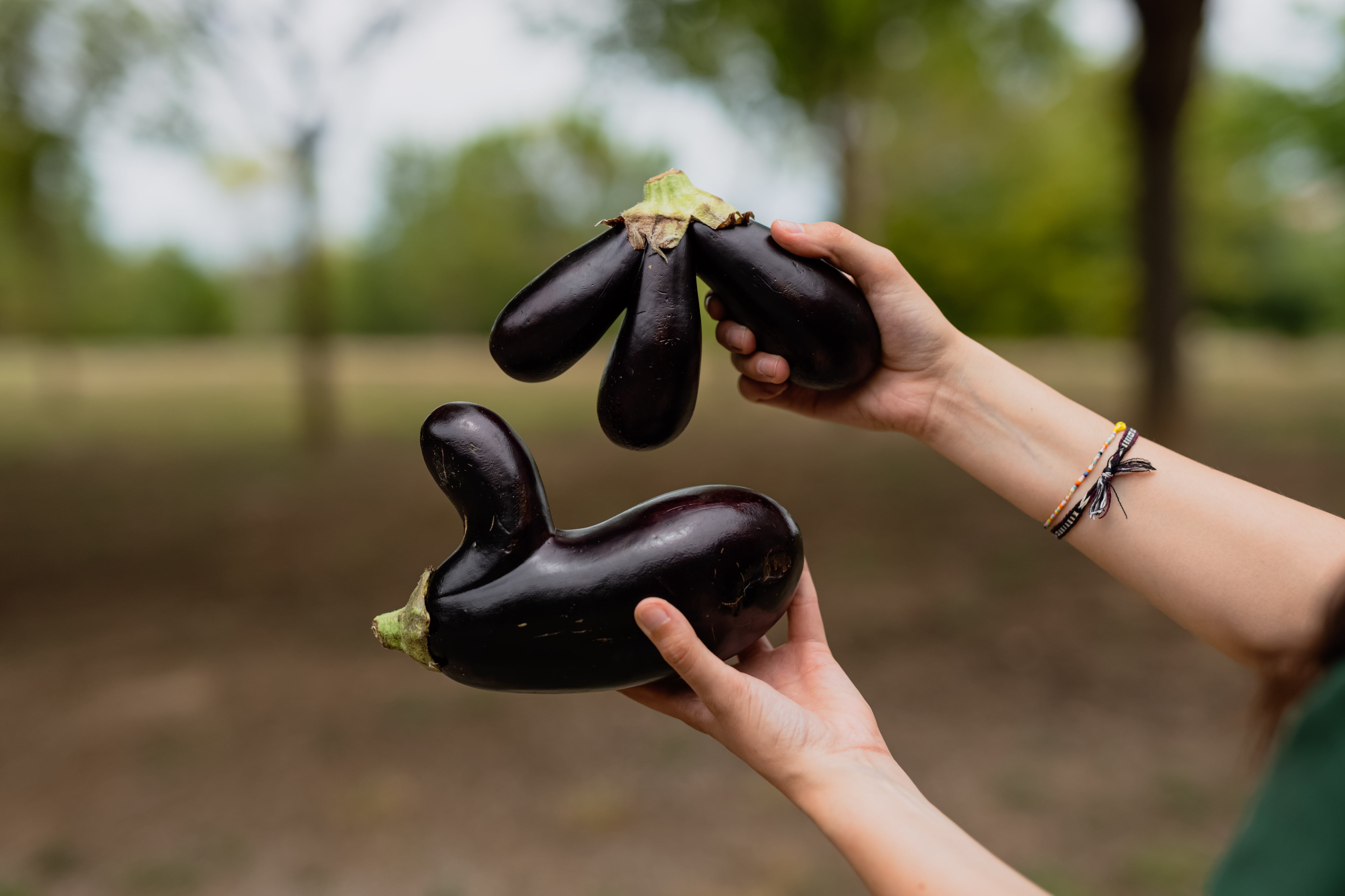 Bendita imperfección: ¿qué beneficios tiene comprar frutas y verduras feas?