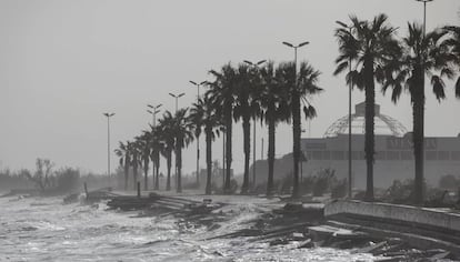 Destrosses en el passeig marítim de l'Ampolla