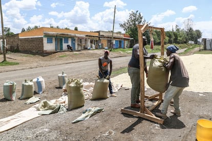 Unos agricultores pesaban sacos de maíz para guardarlos como reserva ante las lluvias previstas por 'El Niño', el 28 de septiembre de 2023 en Nakuru (Kenia).