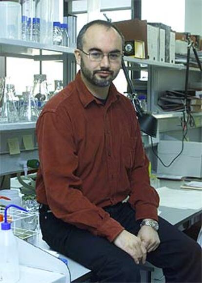 Arcadi Navarro, investigador de la Universidad Pompeu Fabra.