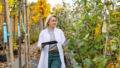 Empleo garantizado para los agrónomos