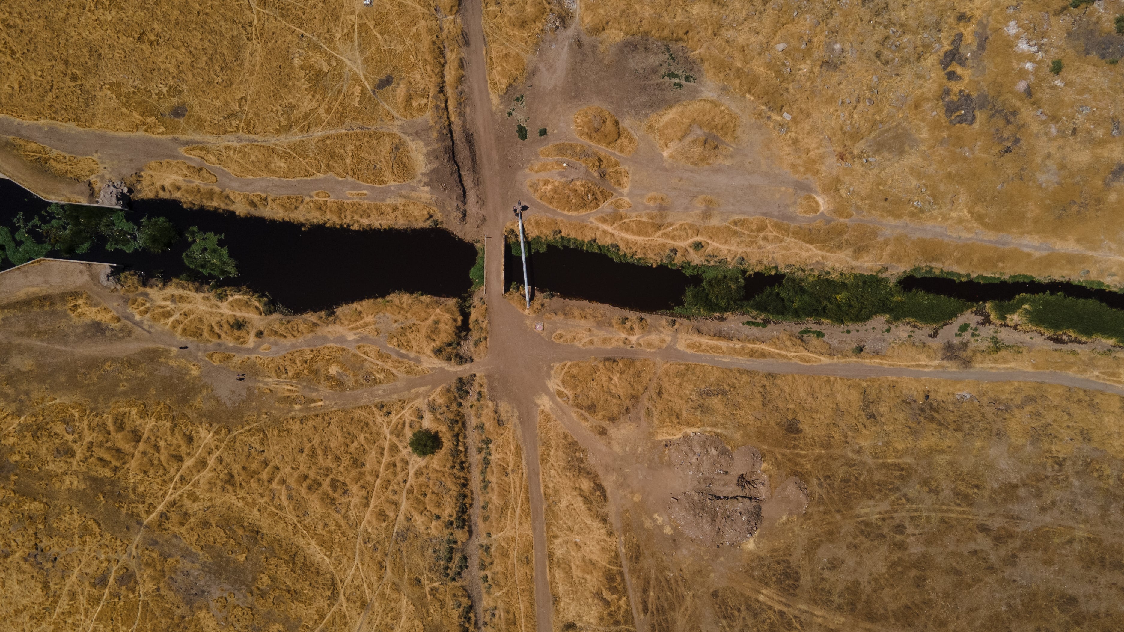 Humedal de Quilicura: un espacio vital para la comunidad y la supervivencia humana