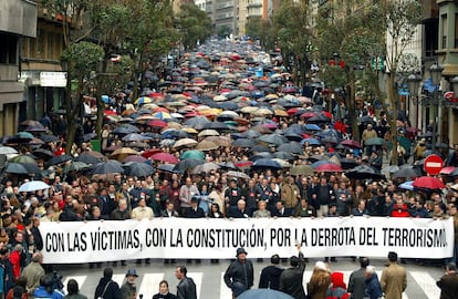 Otros muchos miles de personas de toda España salieron a la calle en protesta por el terrorismo. Valencia (al menos 700.000), Jaén (120.000), Cádiz (250.000), Almería (150.000), Castellón (100.000), Logroño (100.000), Alicante (300.000), Oviedo, en la imagen (350.000), Zaragoza (100.000), Córdoba (180.000), Santander (85.000), Pamplona, Lleida (40.000), Vitoria (90.000), Tarragona (40.000)...