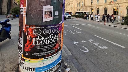 Una imagen de uno de los carteles promocionales de la gira de Mariana Enriquez, que se asemeja al cartel de un 'tour' musical.