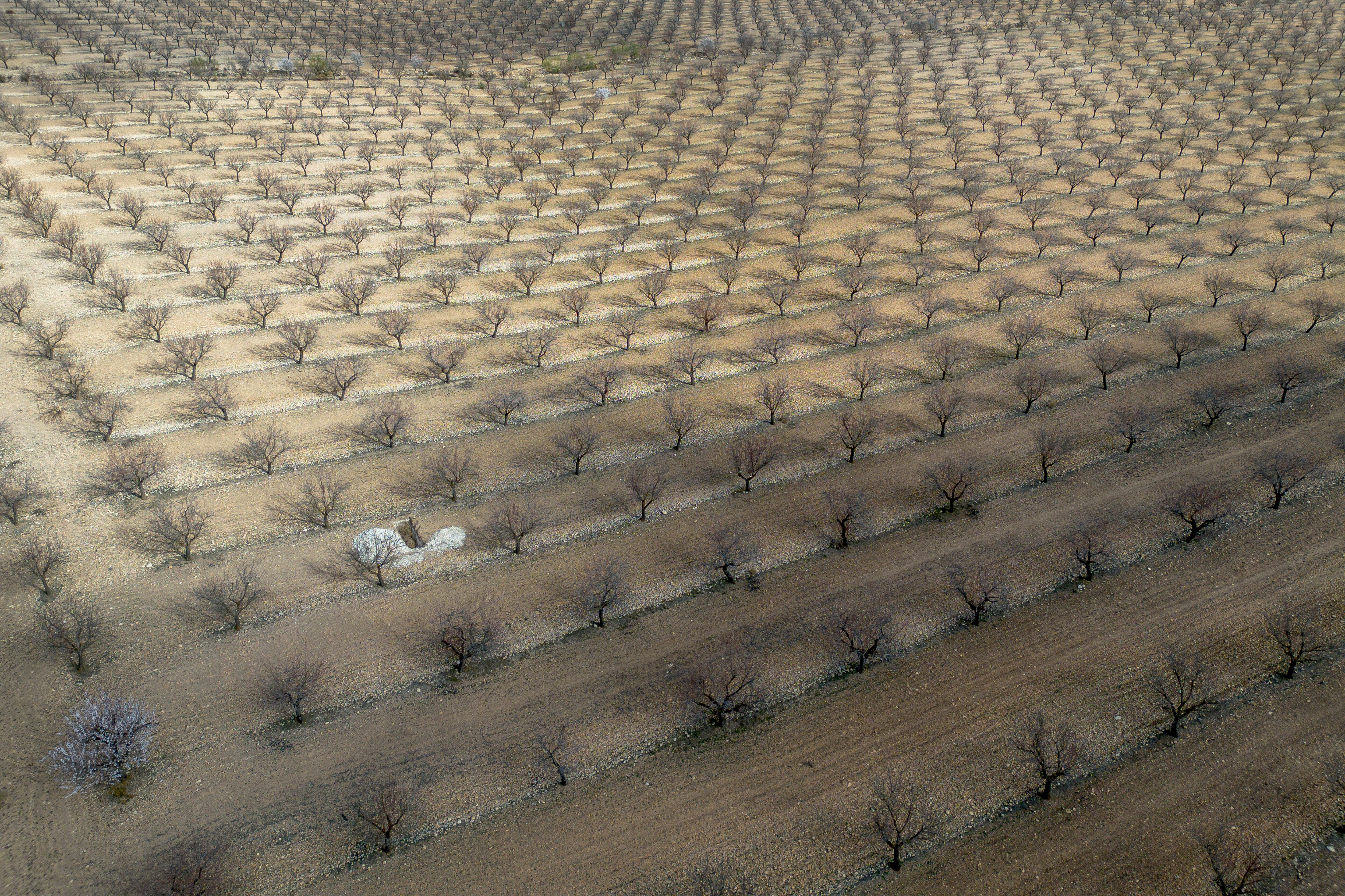 Vista aérea de la finca Puerto Viejo, en la localidad almeriense de Chirivel. 