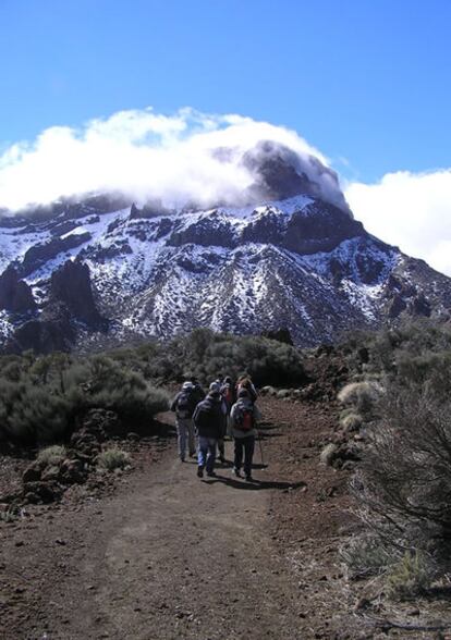 La empresa Patea tus Montes organiza excursiones infantiles por los senderos donde se rodó la película Furia de Titanes, en Tenerife