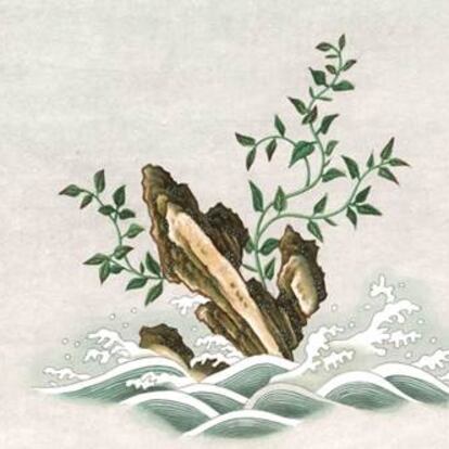 La exposición ‘Entre Manila y Cantón’ del Real Jardín Botánico.