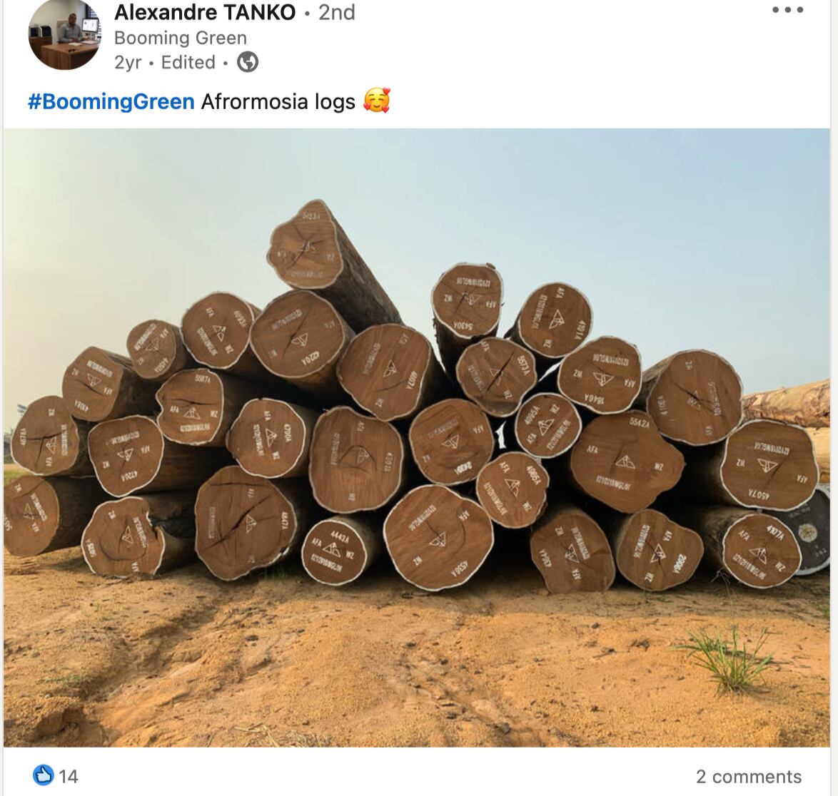 En un post de Linkedin, el presidente de Booming Green muestra troncos de la especie amenazada Pericopsis elata, muy apreciada en mercados internacionales. La empresa de propiedad china controla más de un millón de hectáreas de bosque tropical.