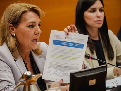 Susana Camarero