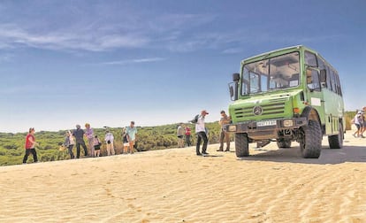 Una visita guiada en el parque nacional de Doñana.