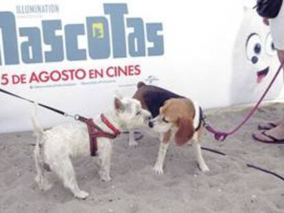 Evento de promoción de la película 'Mascotas'.