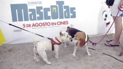 Evento de promoción de la película 'Mascotas'.