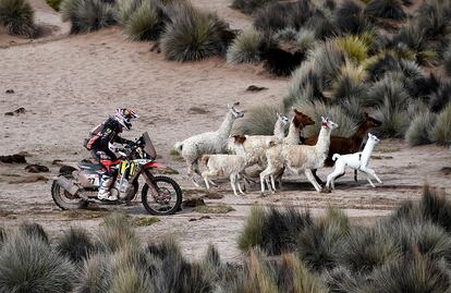 El argentino Diego Martn Duplessis conduce su Honda durante la sptima etapa del Dakar entre las localidades de La Paz a Uyuni, el 13 de enero de 2017.