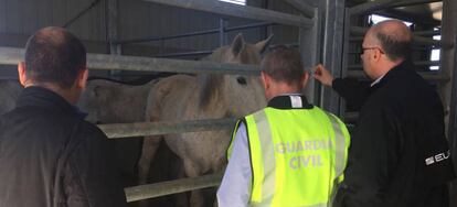 Civil Guard officers at the Astorga slaughterhouse in 2017.