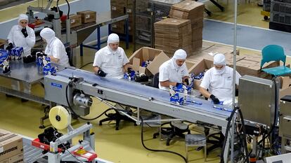 Trabajadoras de la Compañía Nacional de Chocolates de Nutresa, trabajan en Medellín (Colombia), en 2019.