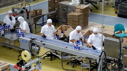 Trabajadoras de la Compañía Nacional de Chocolates de Nutresa, trabajan en Medellín (Colombia), en 2019.