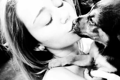 Miley Cyrus es una gran amante de los perros y entre ella y su prometido Liam tienen varios. En mayo subió esta foto tan (dudosamente) arty a su cuenta de Twitter con su perrita Happy.