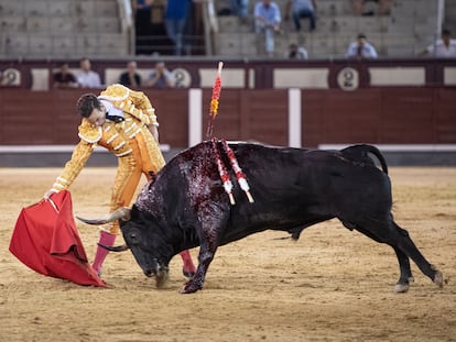 Derechazo de José Fernando Molina al sexto toro de la tarde en Las Ventas.