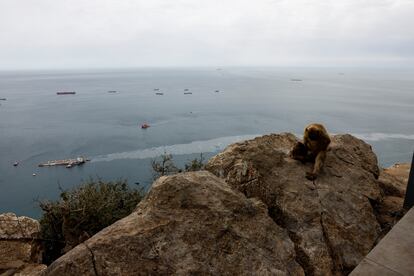 Vista del carguero OS 35 que permanece medio hundido  tras su colisión con un buque frente a Gibraltar
