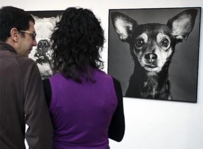 Un aspecto de la exposición del Centro Andaluz de la Fotografía.