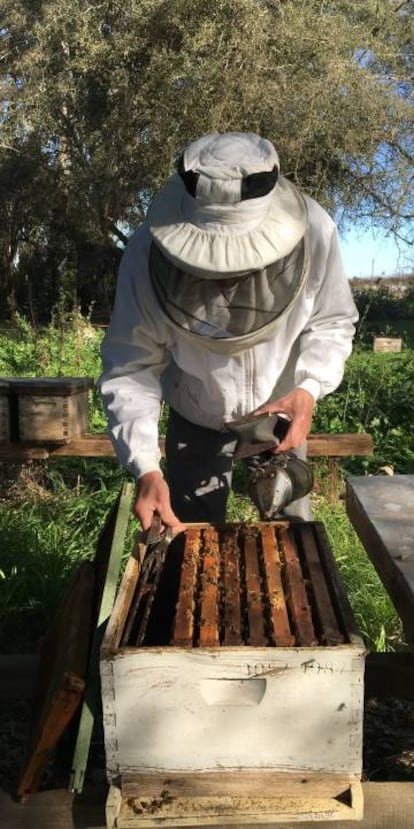 Un apicultor en Ranchos, en la provincia de Buenos Aires.