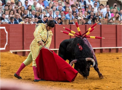 Morante de la Puebla, el 23 de septiembre en la plaza de La Maestranza.