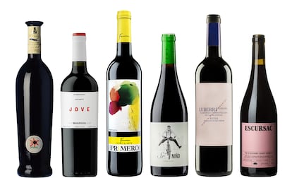 Seis tintos y entender la maceración carbónica