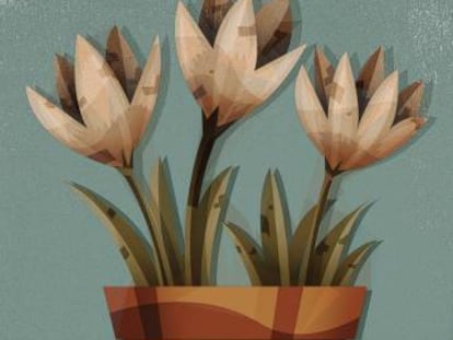 El verdadero consenso