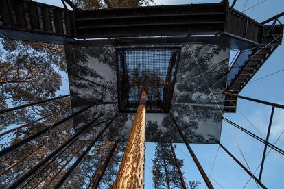 La base de la nueva casa en los árboles mide 8 por 12 metros y muestra una gran imagen con copas de árboles alzándose al cielo. Así la casa se mimetiza con el bosque circundante.