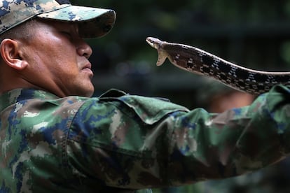 Un instructor de la marina demuestra cómo atrapar una serpiente durante ejercicios de supervivencia en la selva, parte del programa "Cobra Gold 2018" en 
Chonburi (Tailandia), el 19 de febrero de 2018.