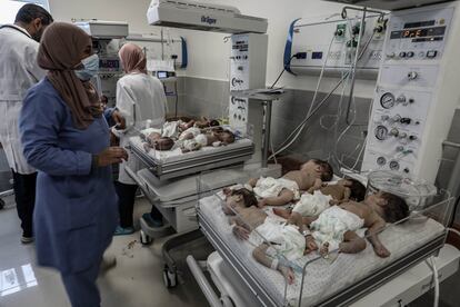Personal sanitario del hospital de Emirates en Rafah trata a varios bebés prematuros evacuados este domingo del hospital Al Shifa, de Gaza.