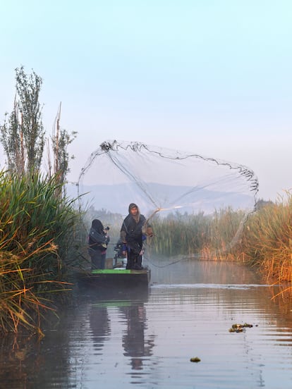 Basilio Rodríguez, the boat owner hired by the National Autonomous University of Mexico to help carry out its axolotl census, casts his nets in Xochimilco.