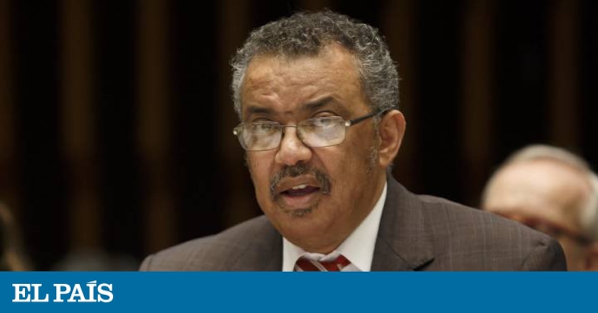 elpais.com