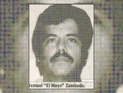 Mayo Zambada